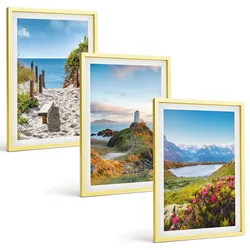 BILDER SET 3er Set - 40x60 cm Goldrahmen - Strand, Leuchtturm, Berge, Blumen