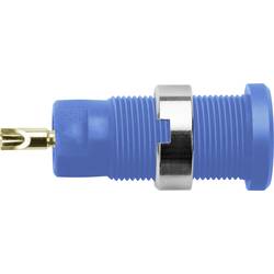 Schützinger DI SEB 3400 Au / BL Sicherheits-Einbaubuchse Blau 1 St.