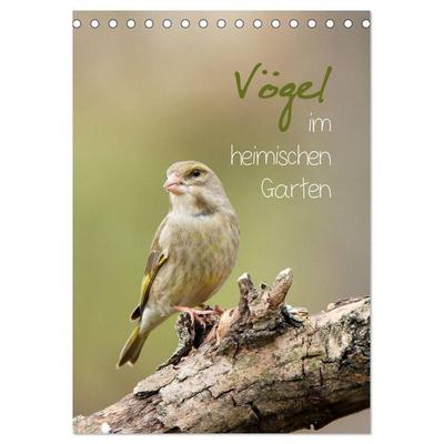 Vögel im heimischen Garten (Tischkalender 2027 DIN A5 hoch), CALVENDO Monatskalender