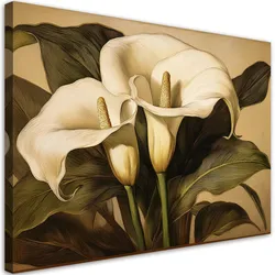 WANDBILD weiße callas blumen in sepia
