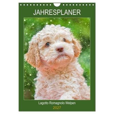 Jahresplaner Lagotto Romagnolo Welpen (Wandkalender 2027 DIN A4 hoch), CALVENDO Monatskalender