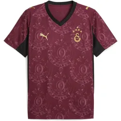 Puma, Herren, Fussballtrikot, GSK Third Jersey Replica w/o sponsor with Star (S), Gold, Rot, Beige