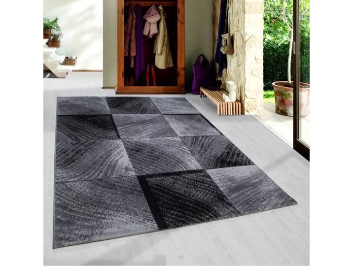 Tapis Modern Design trendy karts motif courts fleuri Mings noir gris [160x230 cm]