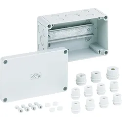 Spelsberg Klemmenkasten grau leer 4qmm IP54 RK 4/18KL-leer