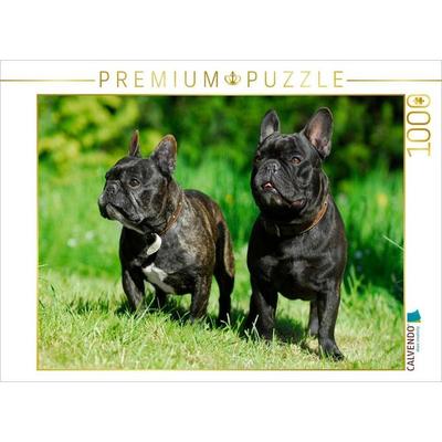 CALVENDO Puzzle Französische Bulldogge Pärchen | 1000 Teile Lege-Größe 64x48cm Foto-Puzzle für glückliche Stunden