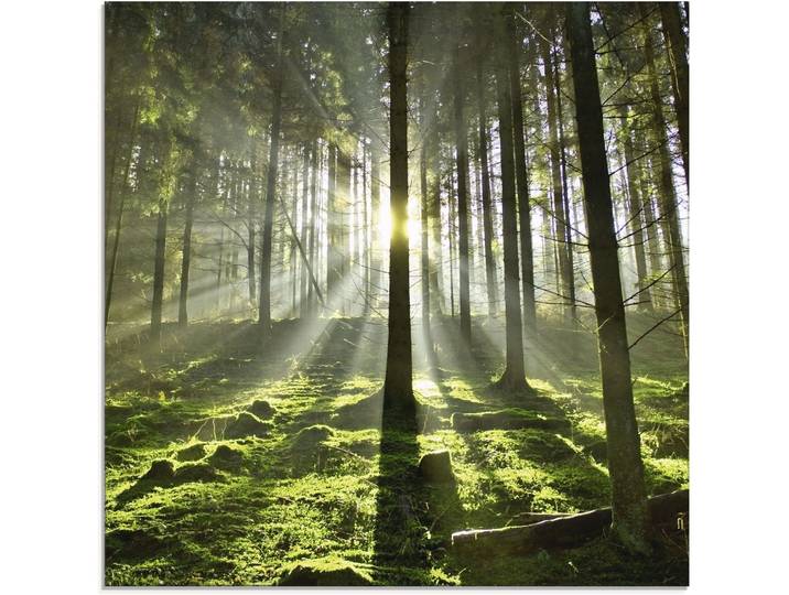 Glasbild ARTLAND Wald im Gegenlicht , grün (farbe bild(er): grün), B:50cm H:50cm, Bilder, Glasbild, in verschiedenen Grössen