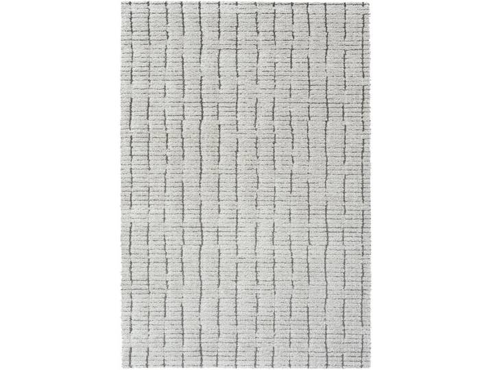 Teppich Vira hellgrau Anderes Muster Polyester 160 x 230 cm