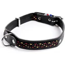Martin Sellier Colorado (Hund, Allgemein), Halsband + Leine