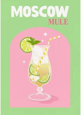 Inspired Living Colorful Cocktail Wall Art Set Trendy Bar Decor Prints For Stylish Home Bars 2 20x30cm