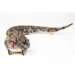 Toymax Rattler R/C w/light & simulated sound 2,4GHz, 65cm