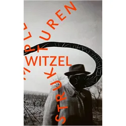 Komplexe Strukturen, Belletristik von Frank Witzel