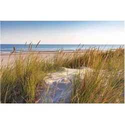 FOTOTAPETE Stranddüne am Meer 432/290 cm