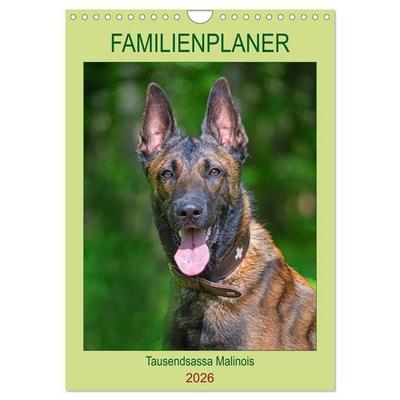 Familienplaner Tausendsassa Malinois (Wandkalender 2026 DIN A4 hoch), CALVENDO Monatskalender