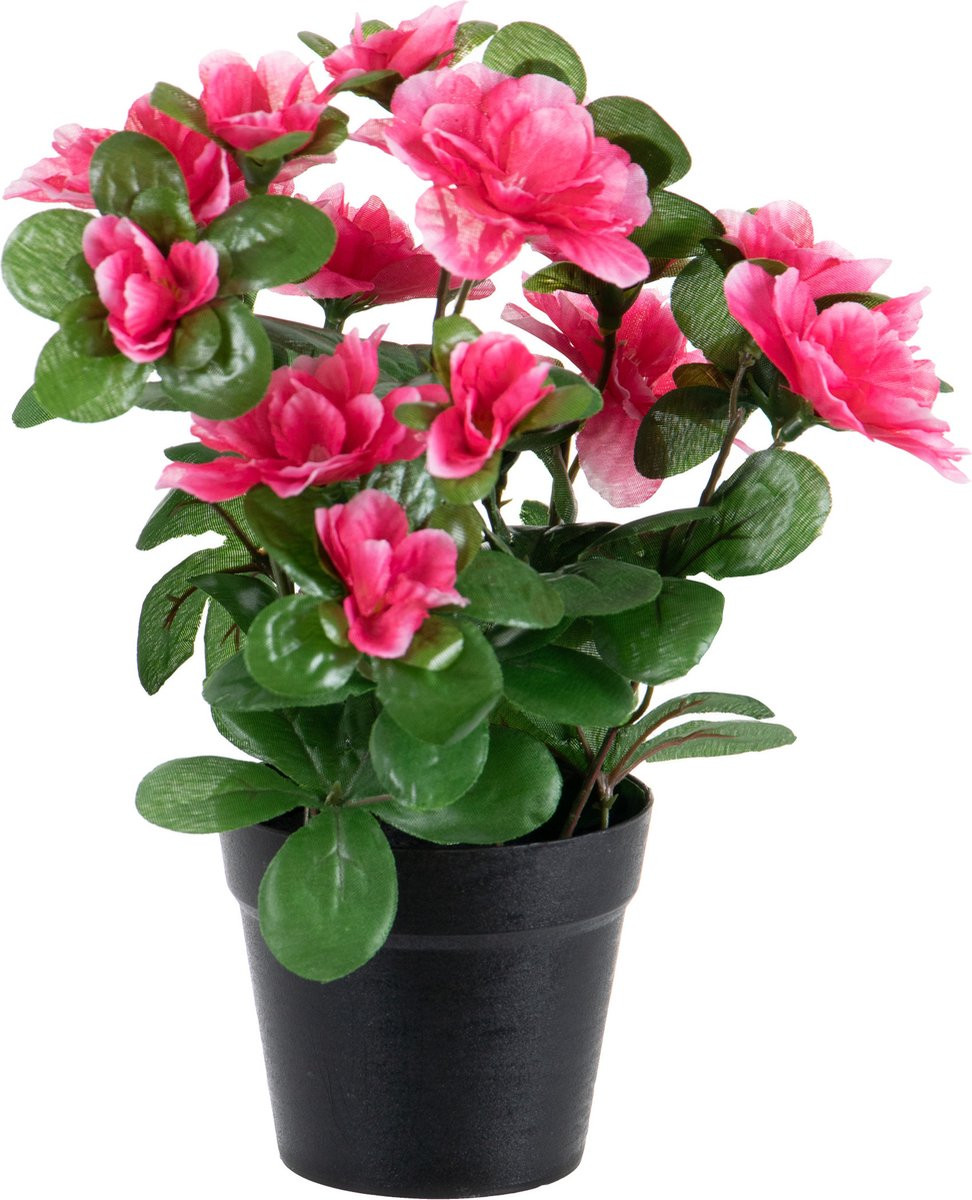 Louis Maes Azalea Kunstplant - Donkerroze - In binnenpot - Hoogte: 25 cm