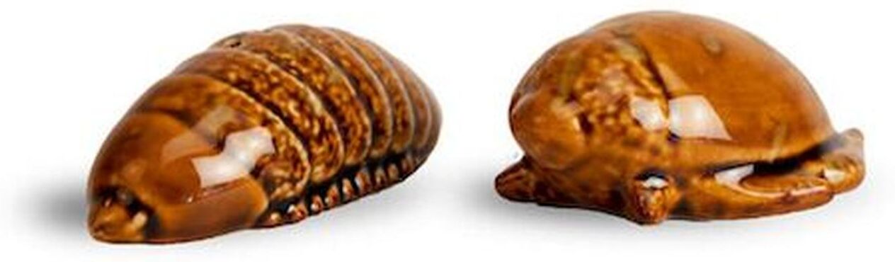 Byon Salt And Pepper Set Bug Brown One Size
