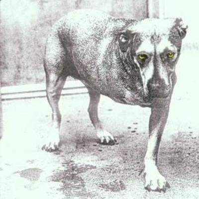 Alice In Chains - Alice In Chains, CD