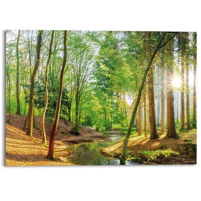 Deco-Panel REINDERS "Sonniger Wald", grün (farbe bild(er): grün), B:140cm H:100cm T:2cm, Bilder, Hobbyraum - Grün - MDF - Wald - 140x100 cm