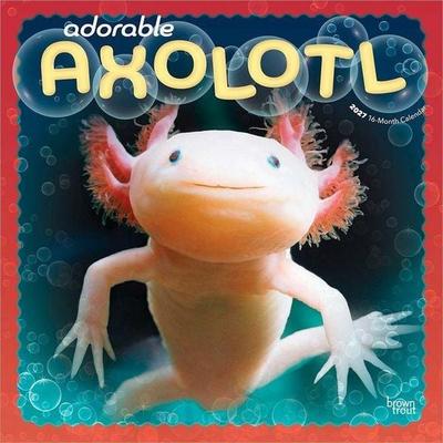 Adorable Axolotl 2027 12 X 24 Inch (Hanging) Monthly Square Wall Calendar Plastic-Free