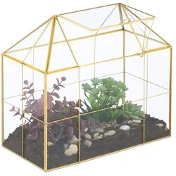Relaxdays Großes Pflanzenterrarium Glas Hausform Gold,Transparent