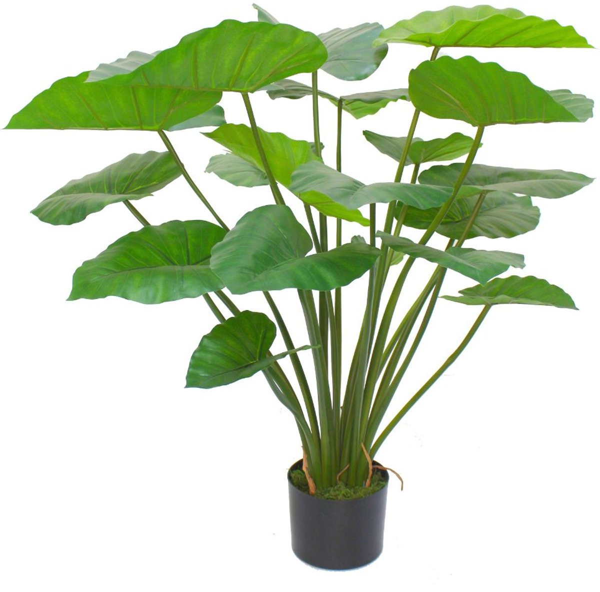 PrettyPlants Alocasia Kunstplant Groen 100 cm