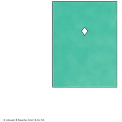 Raucodrape PRO MKG-Tuch steril,  2-lagig, 112 x 150 cm (18 Stck.)