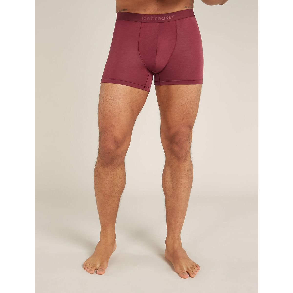 Icebreaker M Anatomica Boxers port (IB01C) S 103029IB01C-S