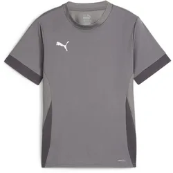 PUMA teamGOAL Matchday Trikot Kinder 13 - cast iron/puma white/shadow gray 128