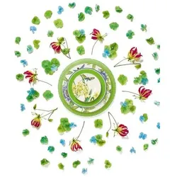 Villeroy & Boch Brotteller Amazonia Anmut, Teller, Weiss