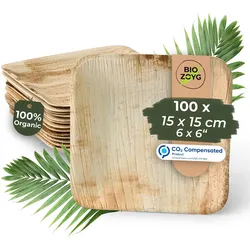BIOZOYG 100 Stück Einwegteller 15x15cm Palmblatt-Teller, quadratisch, biologisch abbaubar, umweltfreundlich, kompostierbar, Wegwerfteller