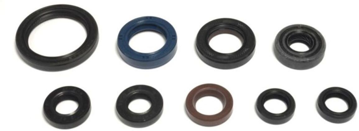 Motorsimmerringsatz ATHENA P400485400404