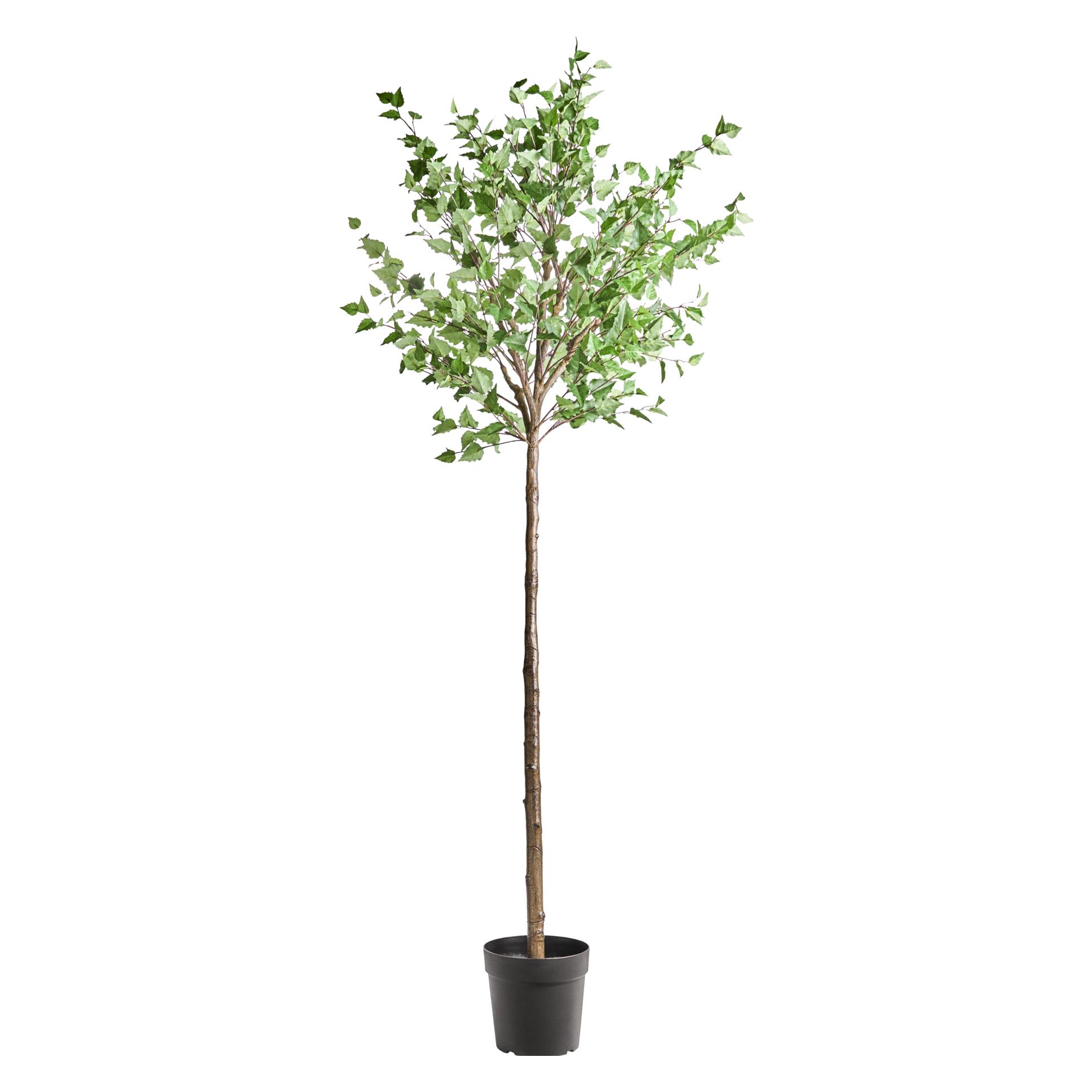 House Doctor Artificial plant, HDHornbeam, Green, Purple (235 cm) (70612077)