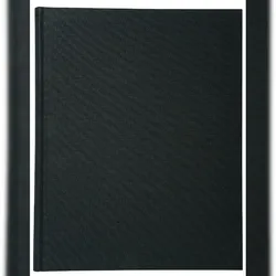 Exacompta 6413E Geschäftsbuch 5x5 kar. 32x25 cm 300S - Schwarz