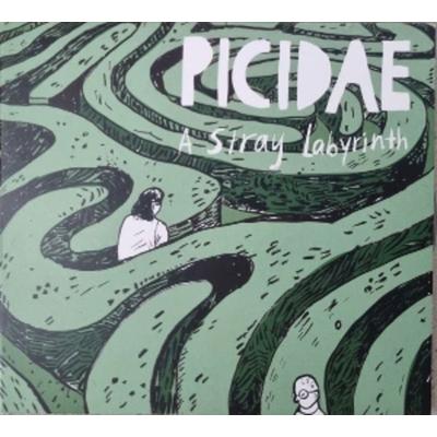 A Stray Labyrinth - Picidae, Vinyl
