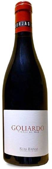 Forjas del Salnés Goliardo Tinto 2023 - 75cl