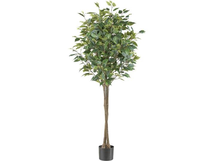 Kunstpflanze Ficus Benjamina H: 125 cm