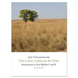 Dein Glanz nahm mir die Worte, Kommentar. Bd.2, Belletristik von Saul Schiffer Tschernichowski