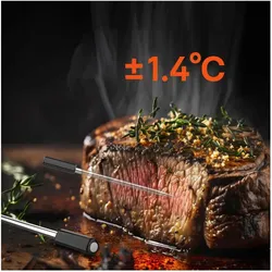 Metapen, Grillthermometer, Termometr kuchenny Meatmeet Pro smart z aplikacją Bluetooth/WiFi grill piekarnik wędzarnia - czarny