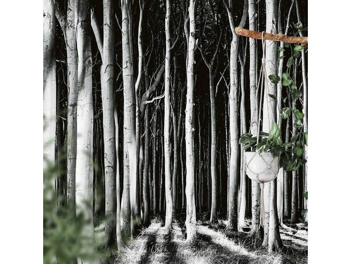 Papier peint Ghost Forest 3cm