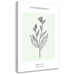 WANDBILD distelblume umwelt