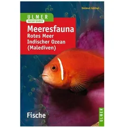 Meeresfauna. Fische, Ratgeber von Helmut Göthel