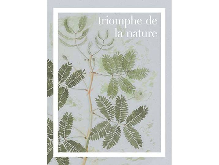 Komar Wandbild - Triomphe de la nature - Größe: 30 x 40 cm - Poster, Kunstdruck, Dekoration, Wohnzimmer, Schlafzimmer