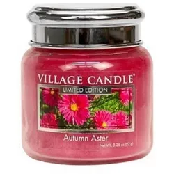 Autumn Aster 92g (Chrome)