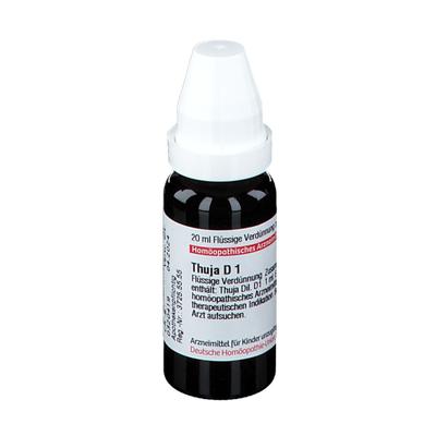 Thuja D 1 Dilution 20 ml