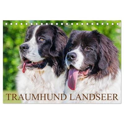 Traumhund Landseer (Tischkalender 2026 DIN A5 quer), CALVENDO Monatskalender