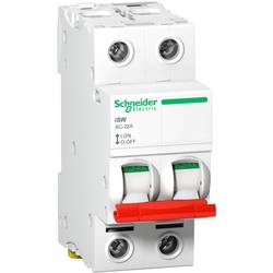 Lasttrennschalter Rot 125 A 415 V Schneider Electric A9S66292