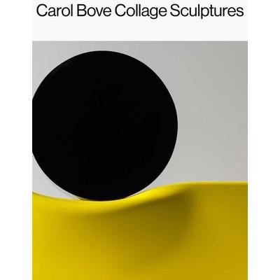 Carol Bove: Collage Sculptures, Gebundene Ausgabe von Carol Bove,Catherine Craft,Lisa Le Feuvre, Thames & Hudson, 978-1-64423-067-1
