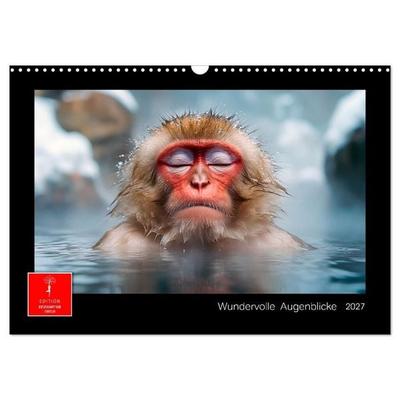 Wundervolle Augenblicke (Wandkalender 2027 DIN A3 quer), CALVENDO Monatskalender