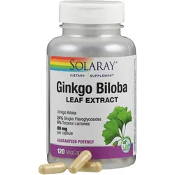 Ginkgo-Biloba Extrakt 60 mg 24% Solaray 120 ST