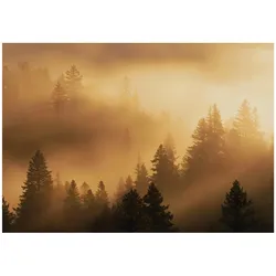 FOTOTAPETE Wald Nebel Beige 150x105 cm