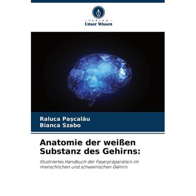 Anatomie der weißen Substanz des Gehirns:, Taschenbuch von Raluca Pa¿cal¿u,Bianca Szabo, Verlag Unser Wissen, 978-620-5-27972-4